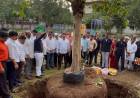 राष्ट्रीय स्वयंसेवक संघाच्या संघ शताब्दी वर्षाच्या निमित्ताने व देशाचे पंतप्रधान श्री नरेंद्र मोदी यांच्या 75 व्या वाढदिवसानिमित्त 51 फुटी वृक्षाची लागवड...